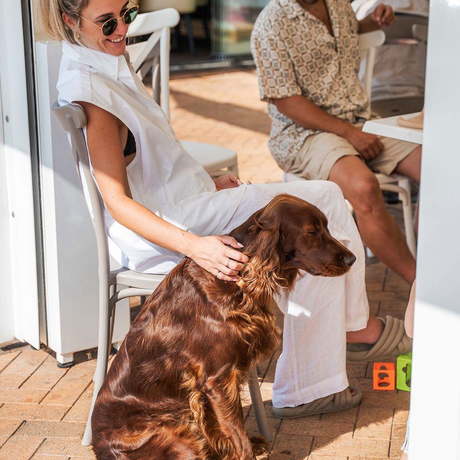A dog beside a guest on the terrace.