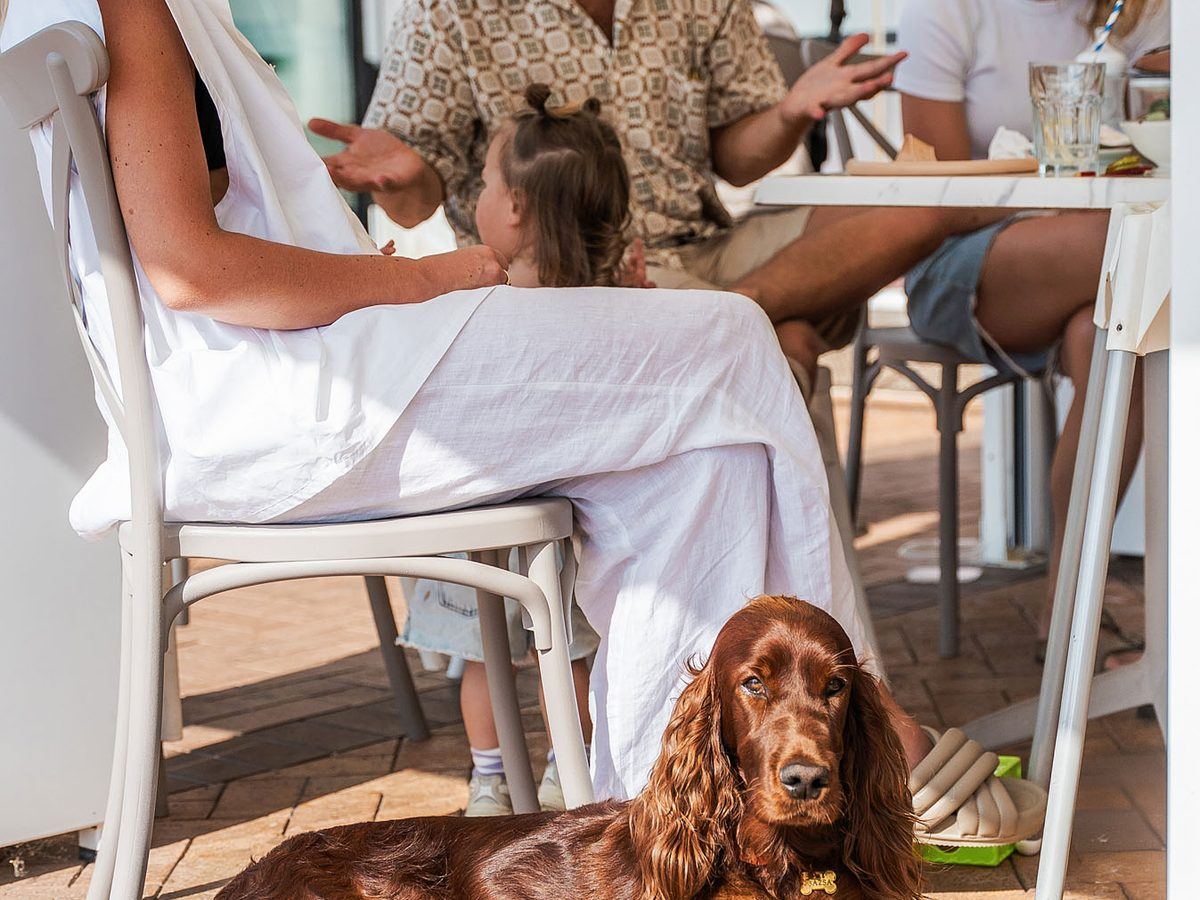 A dog lying under a table on the terrace.